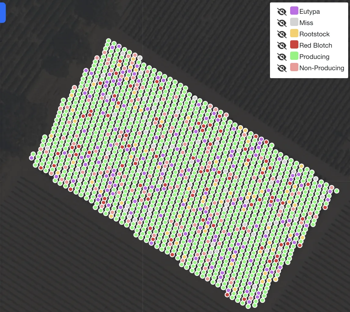 vine-by-vine production and disease map Example Sentinel Map