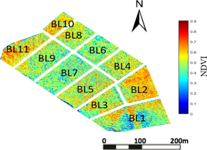 NDVI Heatmap: green areas indicate high vigor, red areas low Example NDVI Map