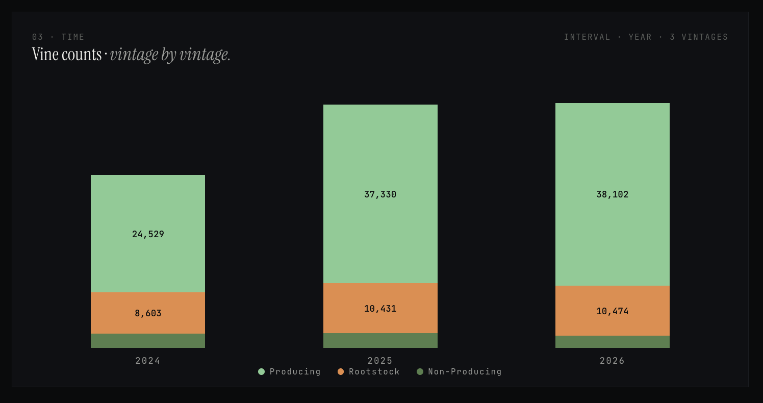Vine count time-series bar chart showing production status across vintages